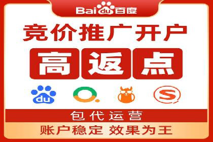 如何利用百度竞价代理：真实案例分析